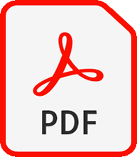 PPT Icon